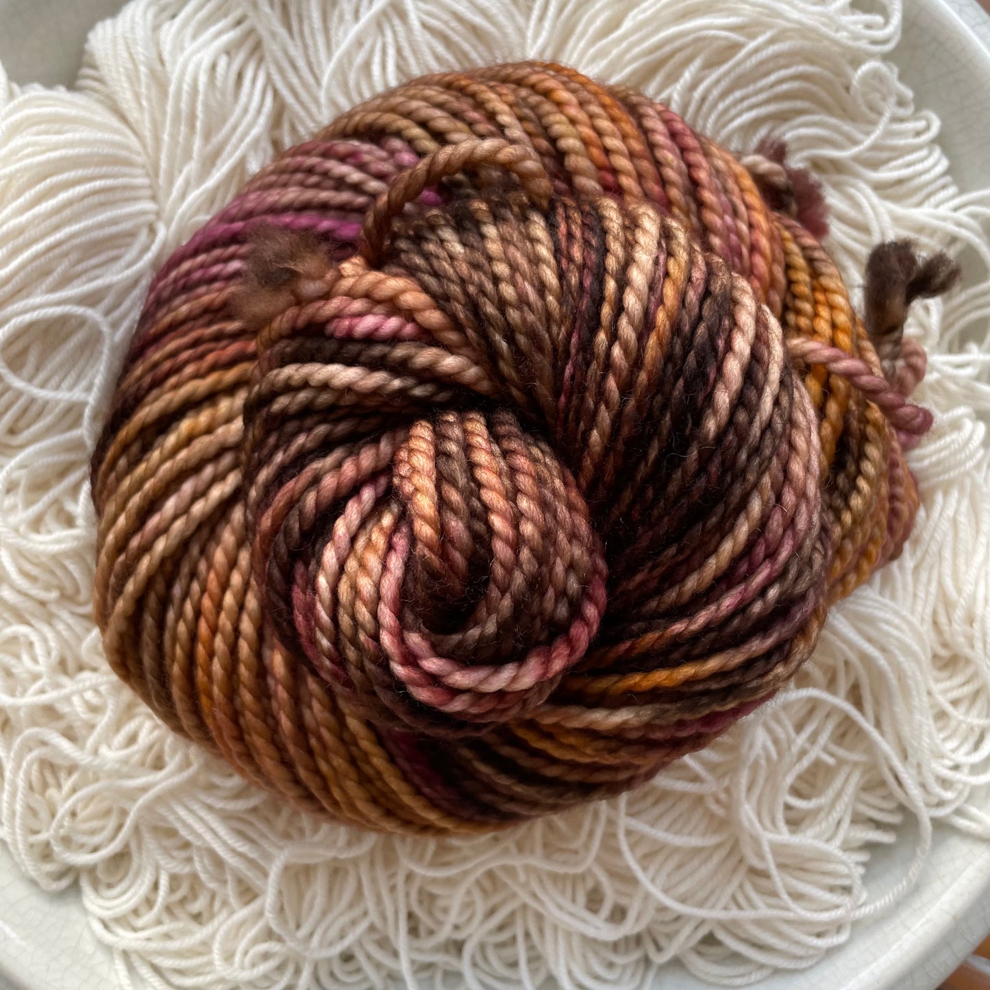 Hibernation, November 2023 Color of the Month
