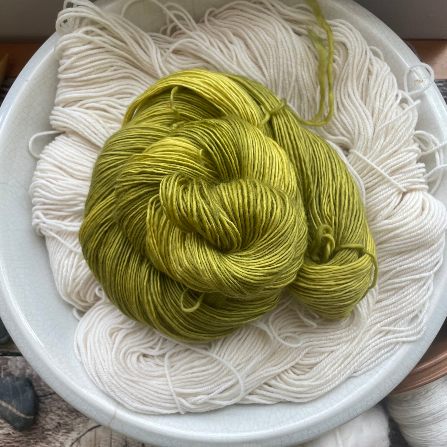 Lichen