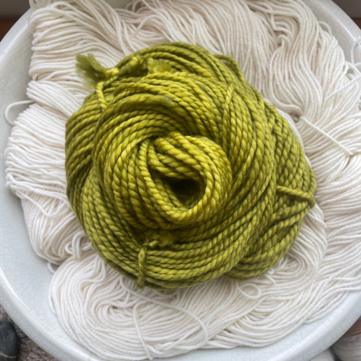 Lichen