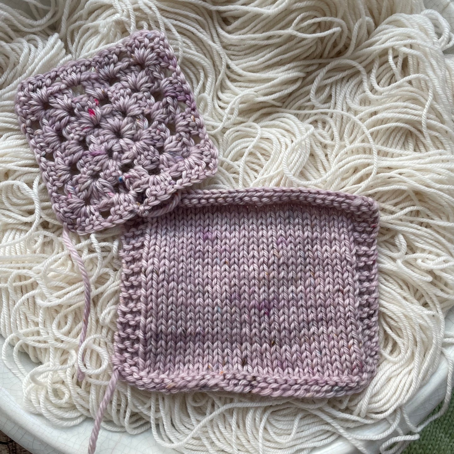 Elusive Purple Pumpkin, October 2023 Color of the Month