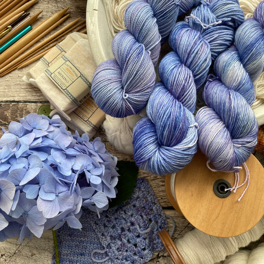 Hydrangea, August 2023 Color of the Month