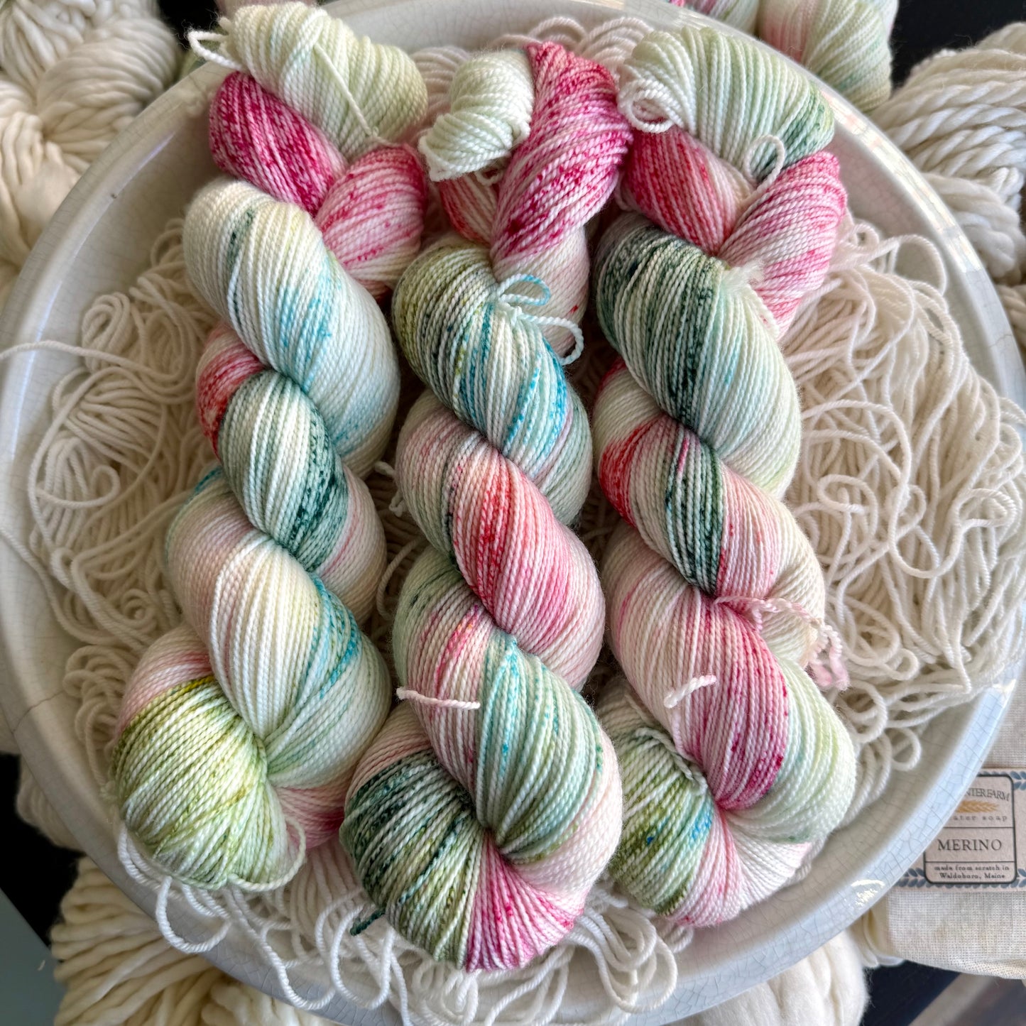 Winter Wonderland on Nimble Sock, Limited Edition Holiday 2025